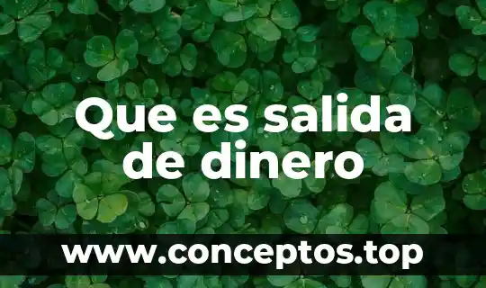 Que es salida de dinero