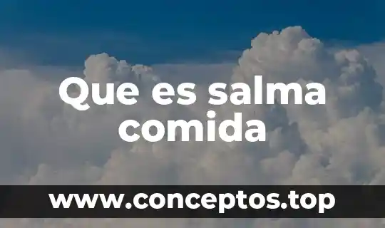Que es lo correcto en una comida por bautizo 4 Que es salma comida