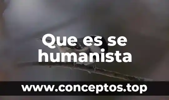 Que es se humanista