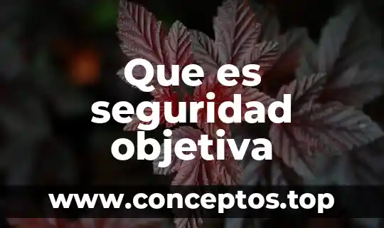 Que es seguridad objetiva