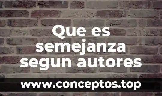 Que es semejanza segun autores