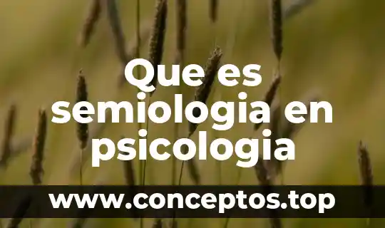 Qué es identidad en la psicología 4 Que es semiologia en psicologia