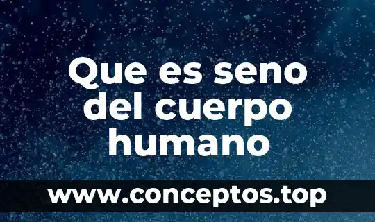 Que es seno del cuerpo humano
