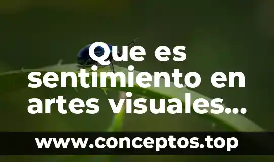 Que es sentimiento en artes visuales en una figura