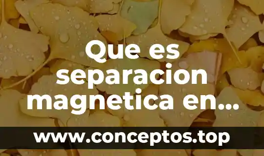Que es separacion magnetica en ciencias naturales