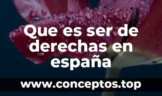 Qué es ser ahijado 6 Que es ser de derechas en españa