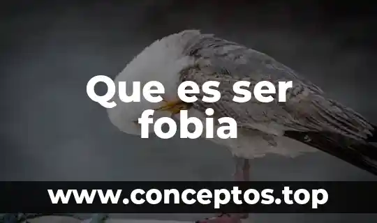 Que es ser fobia