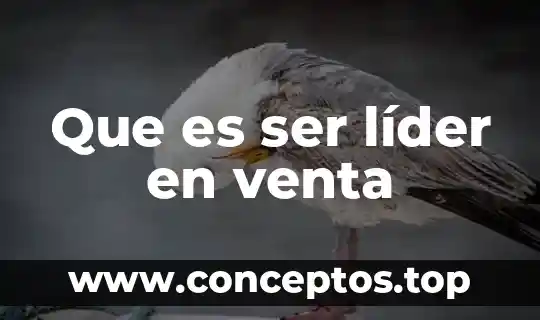 Que es ser líder en venta