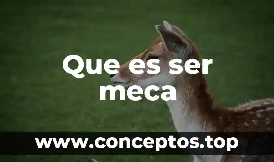 Que es ser gamberro 4 Que es ser meca