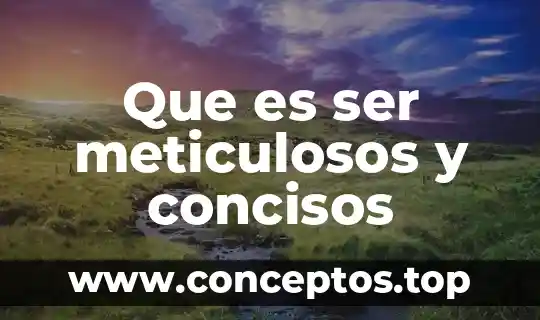 Que es ser meticulosos y concisos