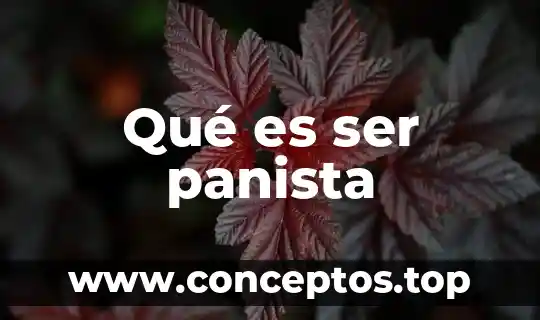 Qué es ser panista