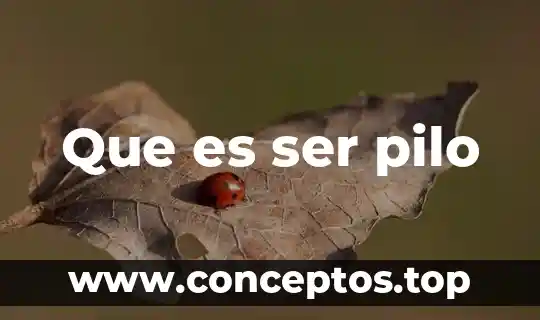 Qué es una masa en el contexto de comunicación 7 Que es ser pilo