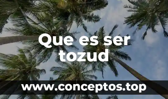 Que es ser una persona filosofa 6 Que es ser tozud