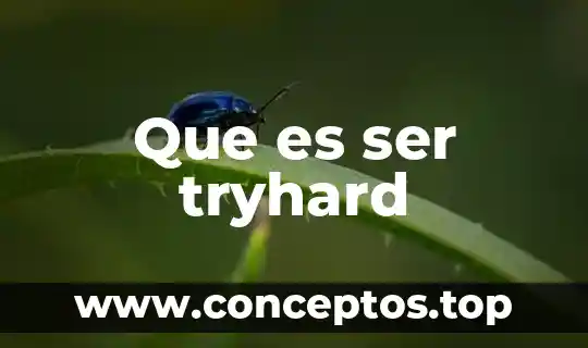 Que es ser maestro profesional 4 Que es ser tryhard