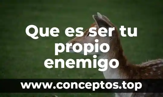 Por que es importante conocer tu apellido 6 Que es ser tu propio enemigo