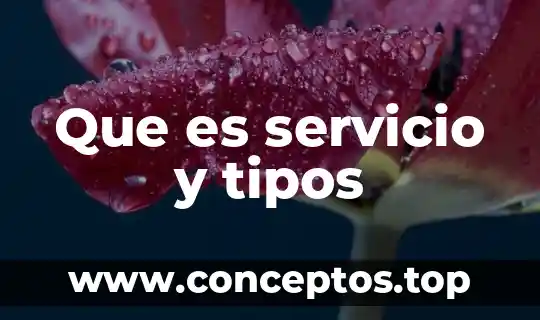 Que es servicio y tipos