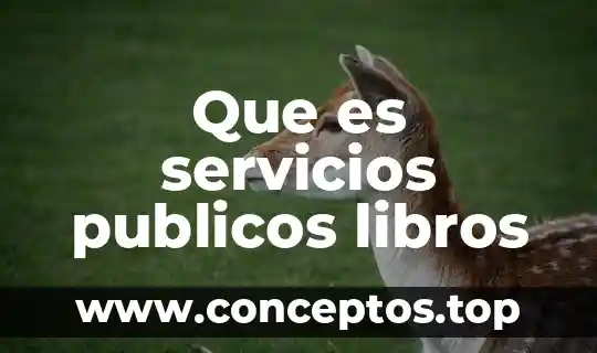 Que es servicios publicos libros