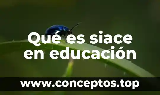 Que es la licenciatura en educacion preescolar 3 Qué es siace en educación
