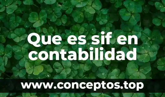 Que es estado de resultados contabilidad 8 Que es sif en contabilidad