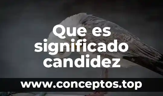 Que es significado candidez