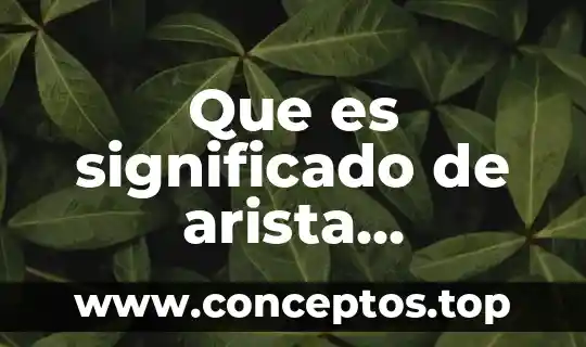 Que es profeta significado cristiano 5 Que es significado de arista geometricas