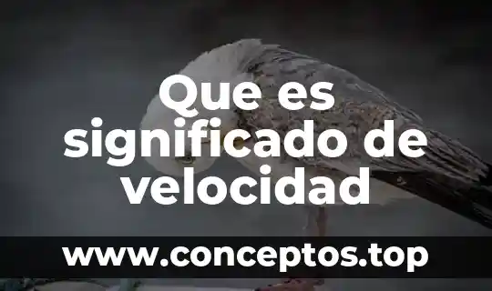 Que es significado de velocidad