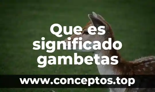 Que es un celta significado 4 Que es significado gambetas