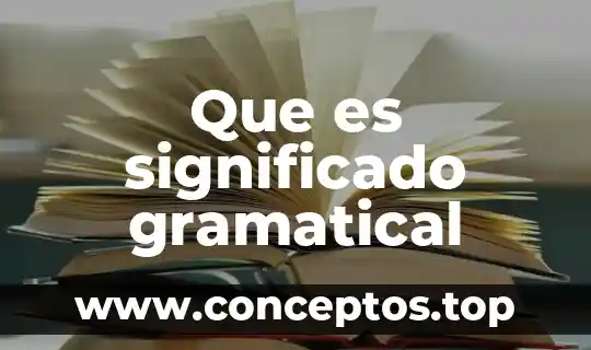 Que es significado candidez 8 Que es significado gramatical