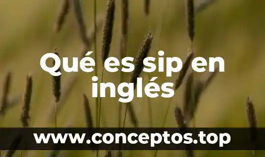 Qué es sip en inglés