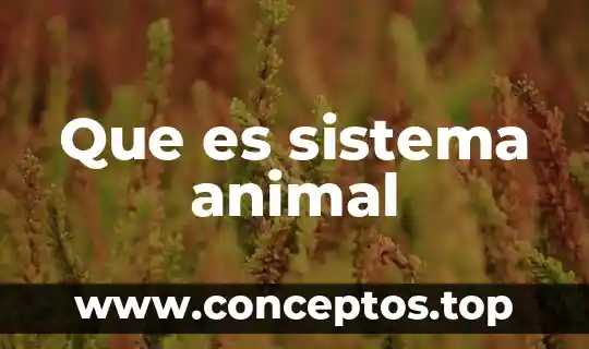 Que es sistema educativo descentralizado 8 Que es sistema animal