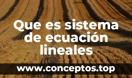 Que es sistema de ecuación lineales