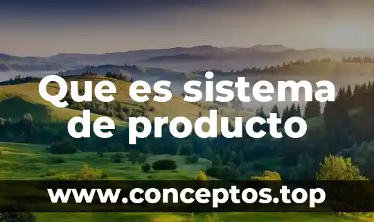 Que es el nombre del producto 7 Que es sistema de producto