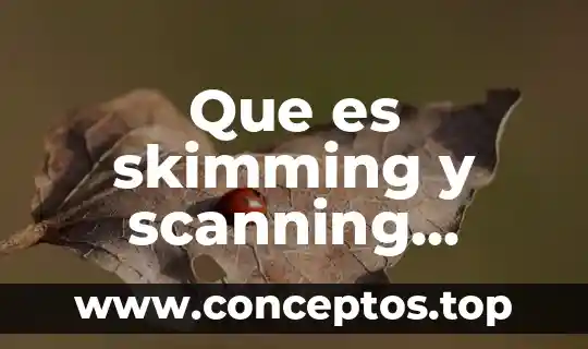 Que es skimming y scanning yahoo
