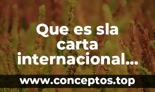 Que es sla carta internacional de los derechos humanos