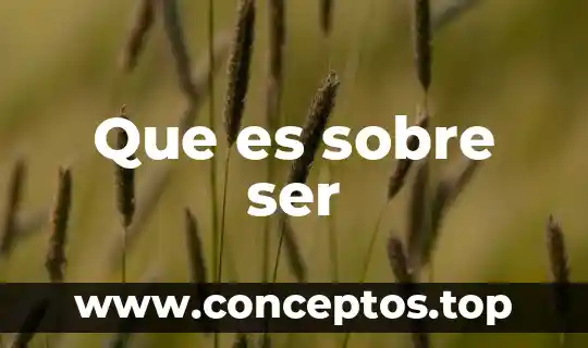 Que es ser gamberro 8 Que es sobre ser