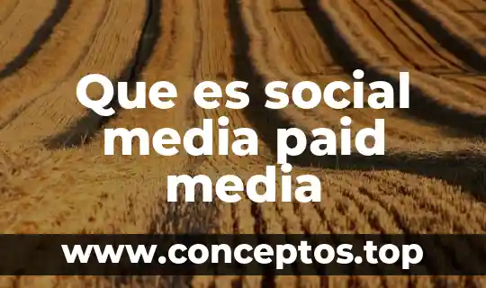 Que es social media paid media