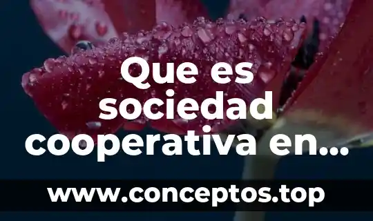 Que es sociedad cooperativa en mexico