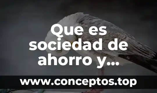 Que es sociedad de ahorro y prestamo