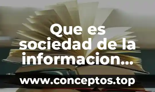 Que es sociedad de la informacion segun bauman