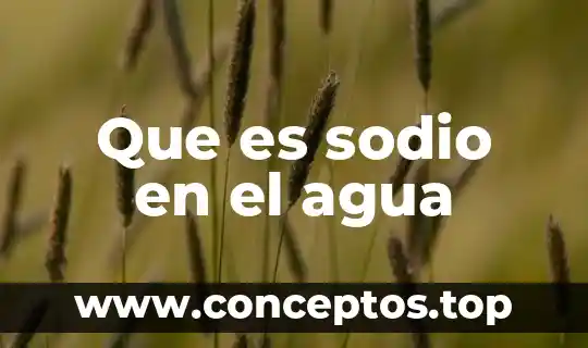Que es sodio en el agua