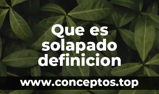 Qué es la primavera árabe definición 5 Que es solapado definicion
