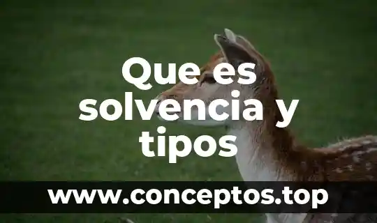 Que es solvencia y tipos