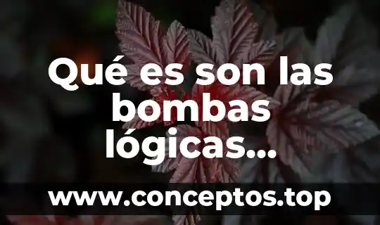Que es bocamanga en bombas de agua 4 Qué es son las bombas lógicas informáticas