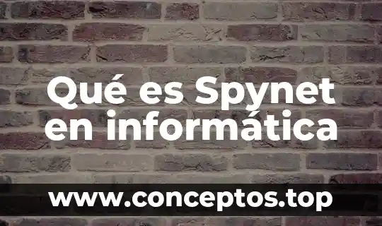 Qué es Spynet en informática