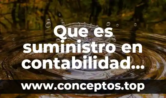Que es suministro en contabilidad de costos