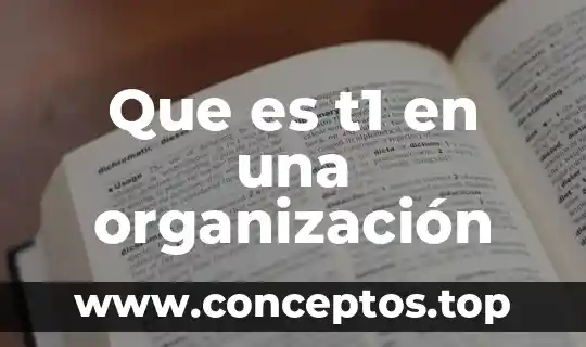 Que es la calistenia y cual es su funcion 6 Que es t1 en una organización