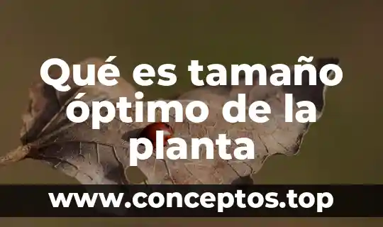 Qué es tamaño óptimo de la planta