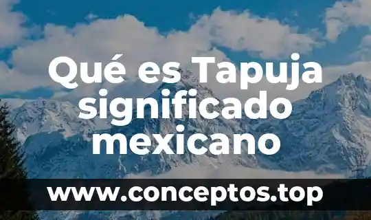 Qué es dragado significado 7 Qué es Tapuja significado mexicano