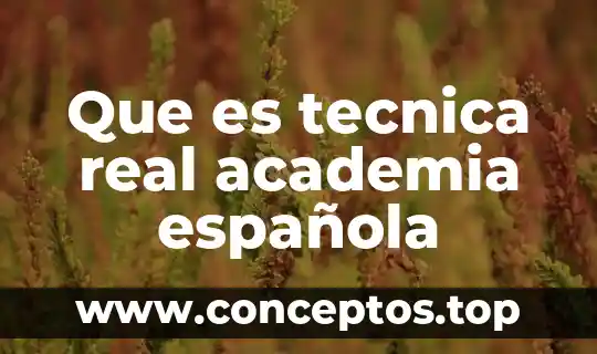Que es tecnica real academia española
