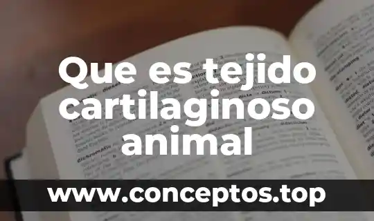 Que es el animal en dibujo de elefantes 3 Que es tejido cartilaginoso animal